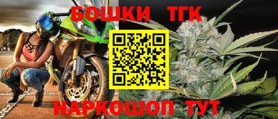 МДПВ Ливны