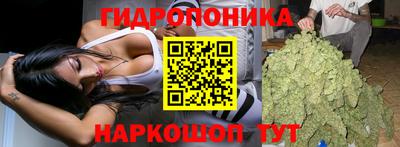 МДПВ Ливны