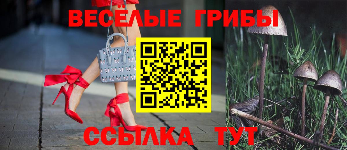 Галлюциногенные грибы GOLDEN TEACHER  Вход с VPN  Якутск 