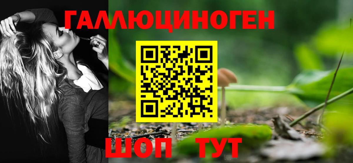 Галлюциногенные грибы мухоморы Якутск
